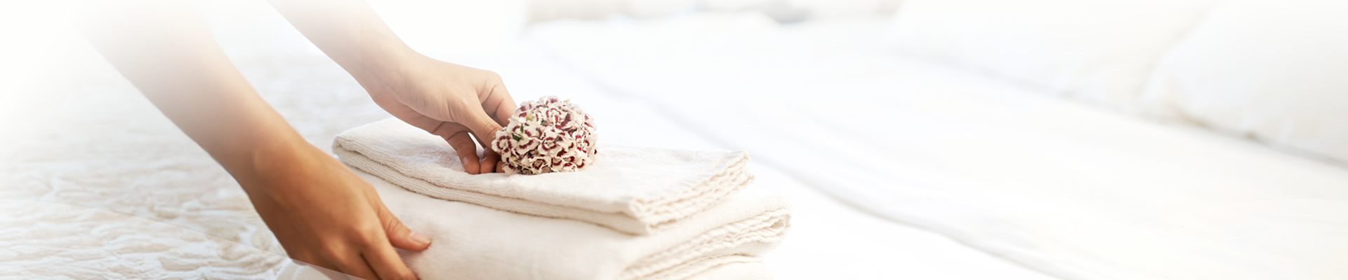 banner-page-1-1