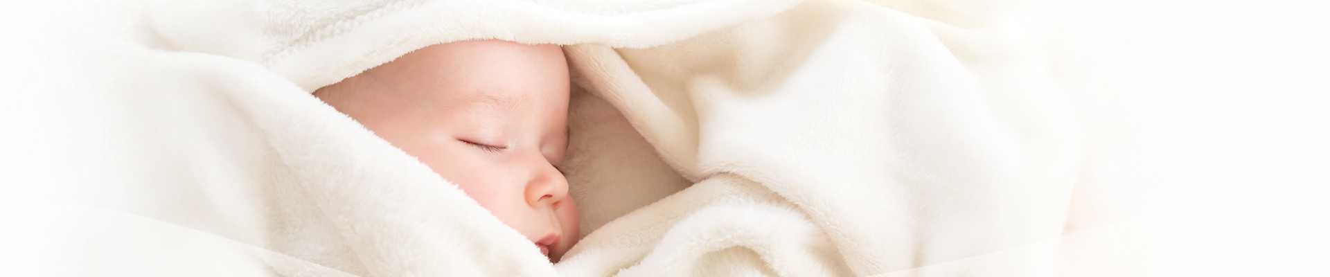 banner-products-1